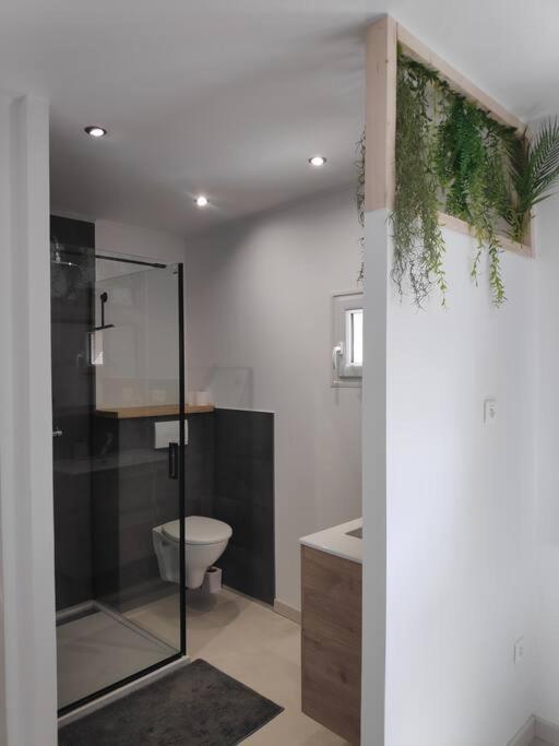 Maison Independante Avec Terrasse & Parking Prive Hérépian 외부 사진