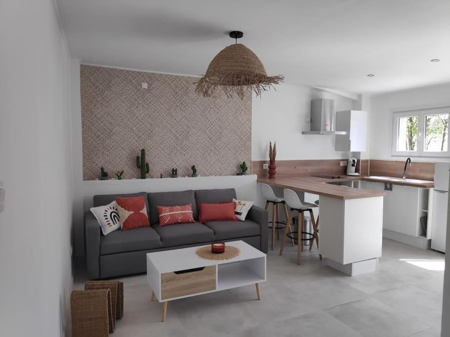Maison Independante Avec Terrasse & Parking Prive Hérépian 외부 사진